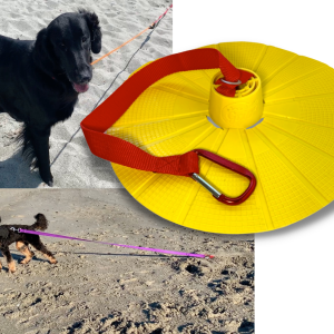 Dog Sand Beach Anchor